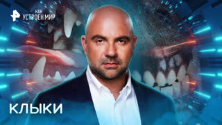 Клыки — Как устроен мир с Тимофеем Баженовым (02.09.2022)