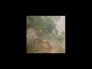 Когда единственный выходной и ты очень сильно хочешь шашлык, тебя ничего не остановит (видео)