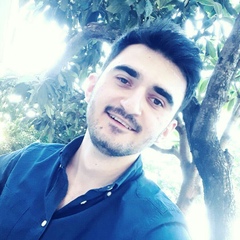 Mustafa Shakhzadaev, Ankara, Турция