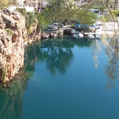 Александр Гайворонский